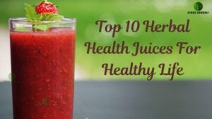 Top 10 Herbal Health Juices For Healthy Life