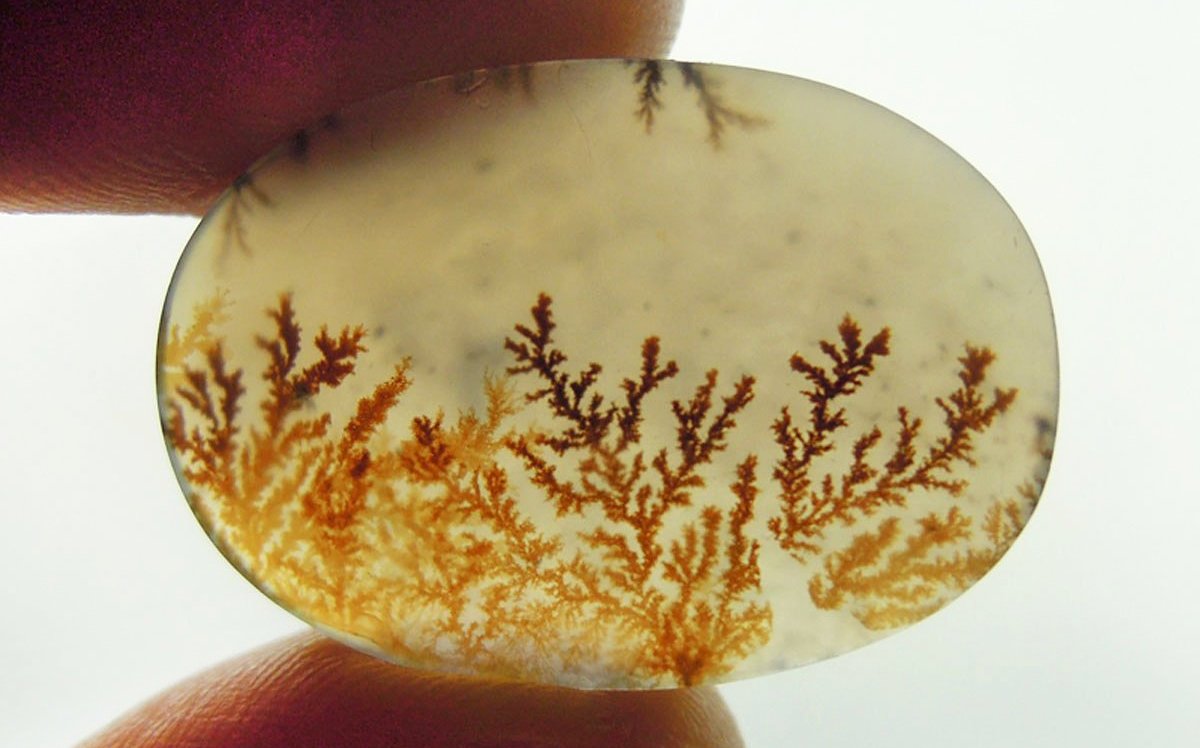 Scenic Agate Gemstone